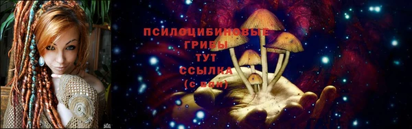 мдпв Мегион