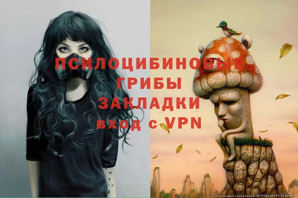 стафф Медногорск