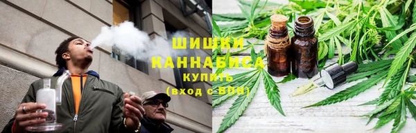 мдпв Мегион