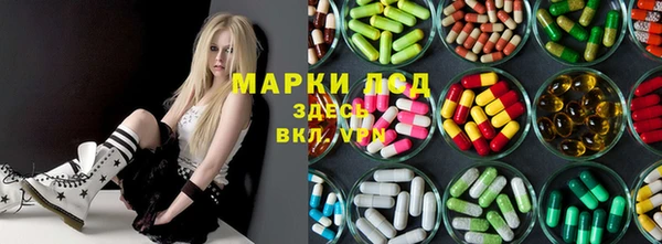 стафф Медногорск
