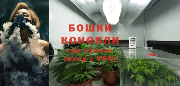 стафф Медногорск