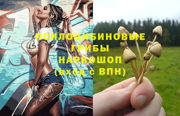соль курить ск Медвежьегорск