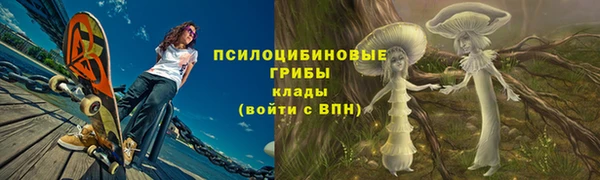 стафф Медногорск
