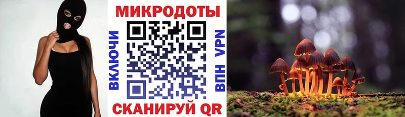 Псилоцибиновые грибы Cubensis  mega ONION  Туринск 
